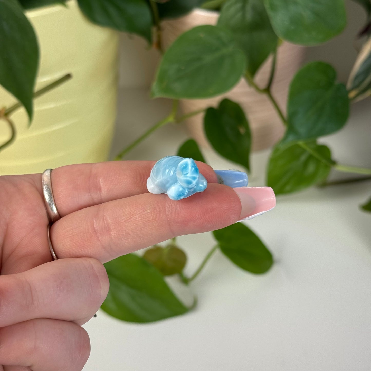 Mini Larimar Turtle