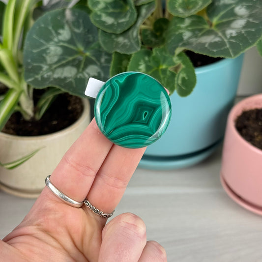 Malachite Cookie - H2