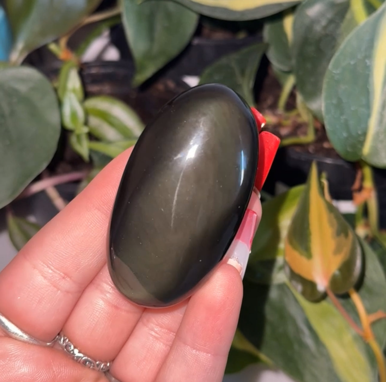 Rainbow Obsidian Palm Stone