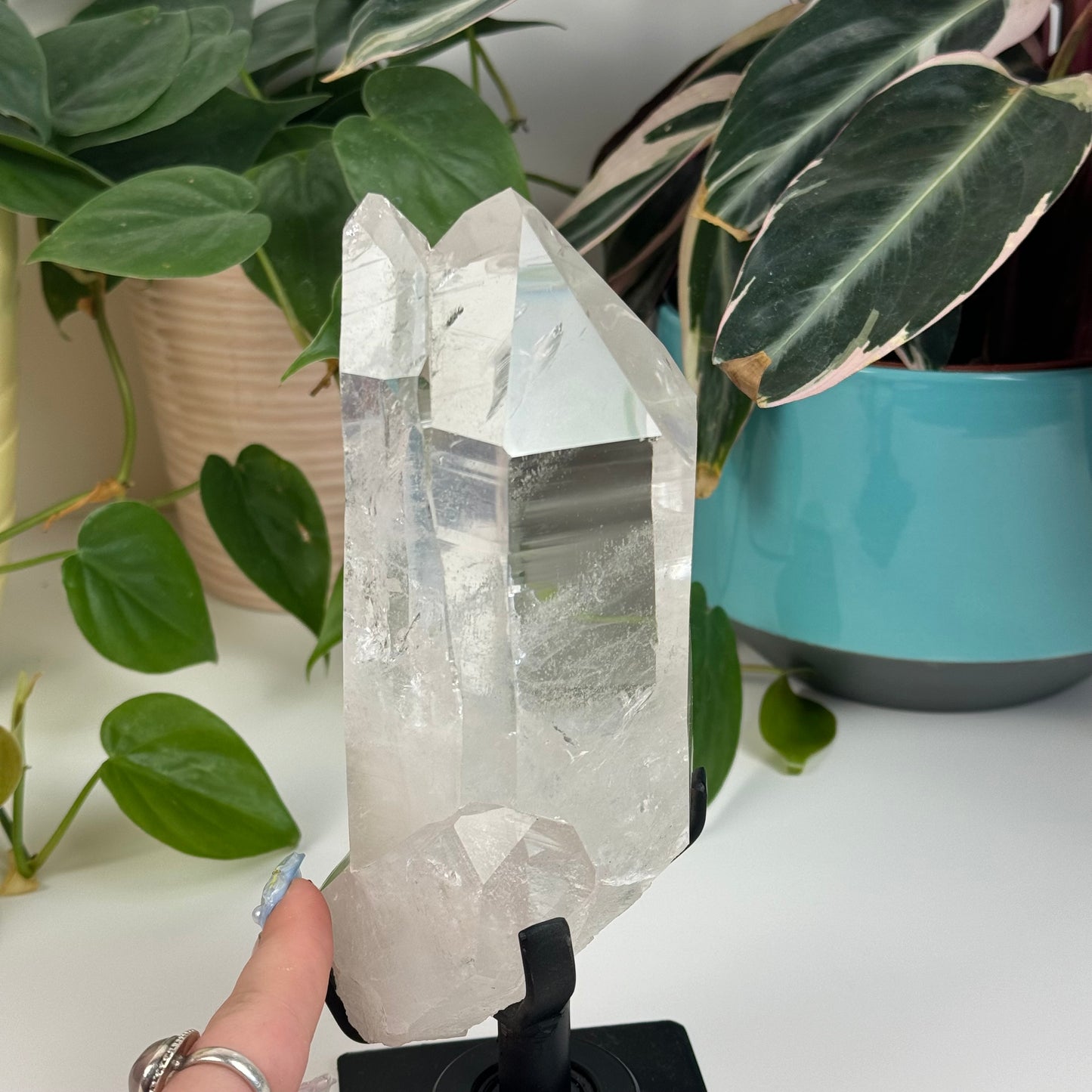 Incredible Lemurian Quartz (W/ Custom Stand) - F