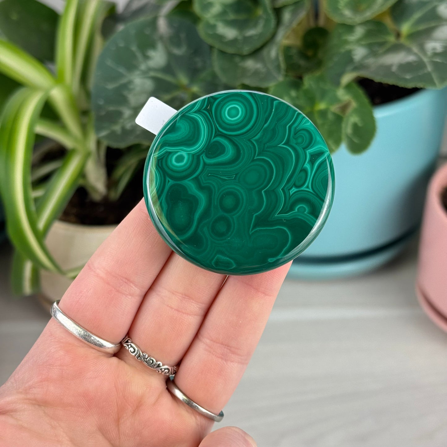 Malachite Cookie - G1