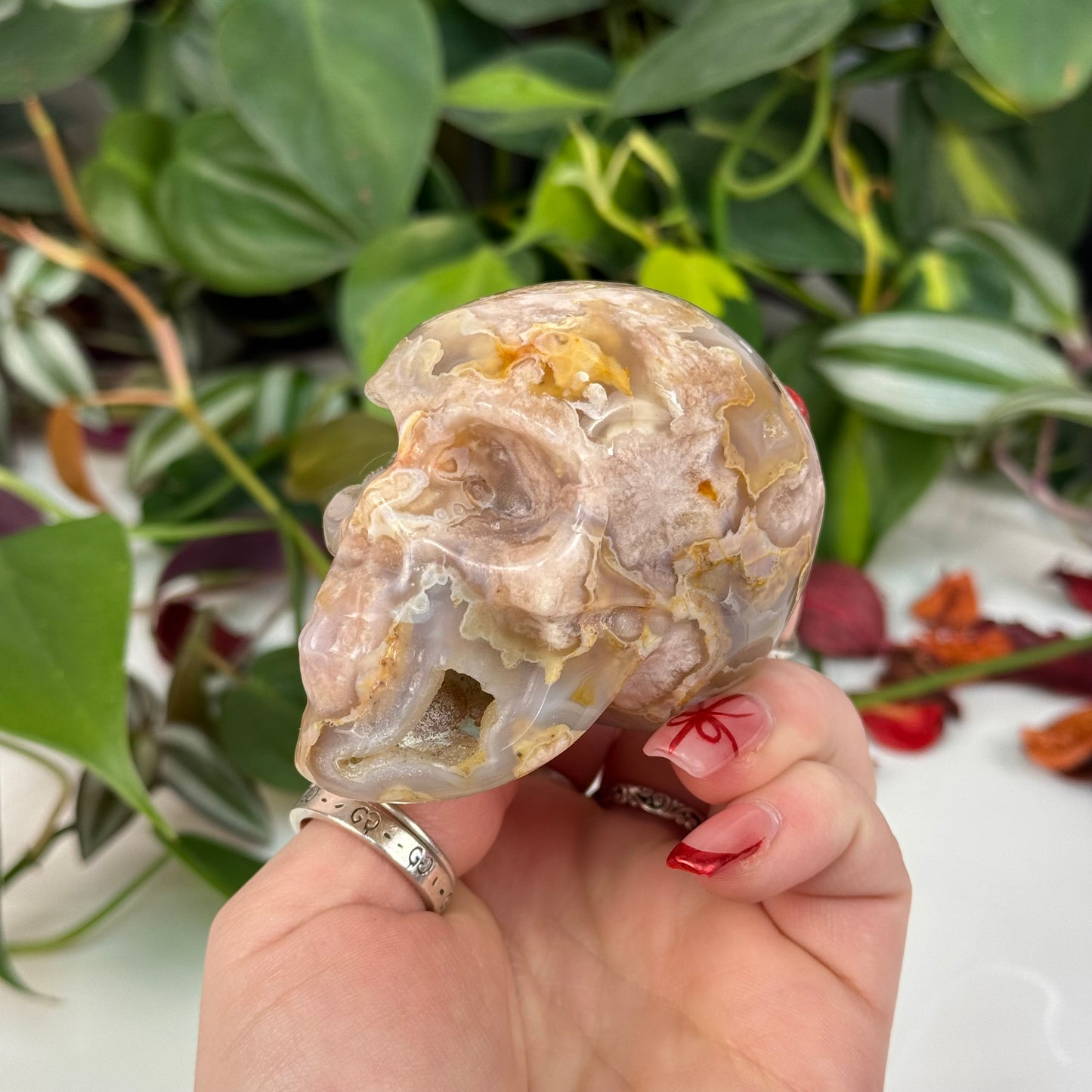 Flower Agate Skull