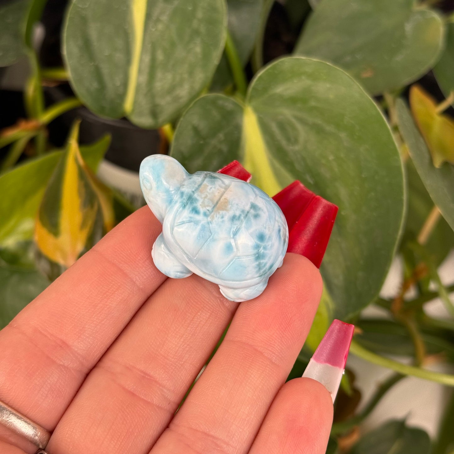 Mini Larimar Turtle