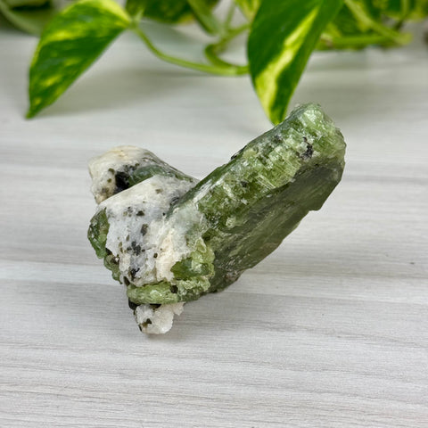 Chrome Diopside On Cookie Dough Specimen