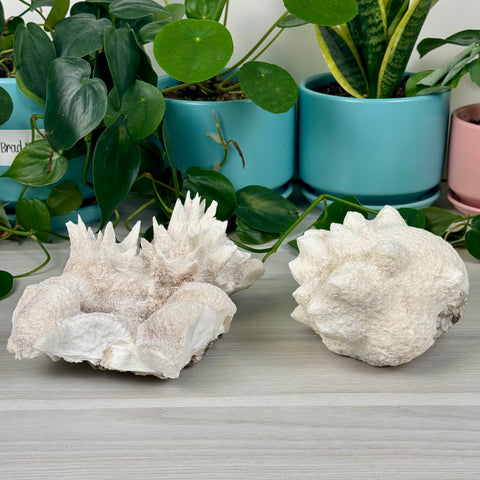 Mordenite w/ Stilbite Specimen