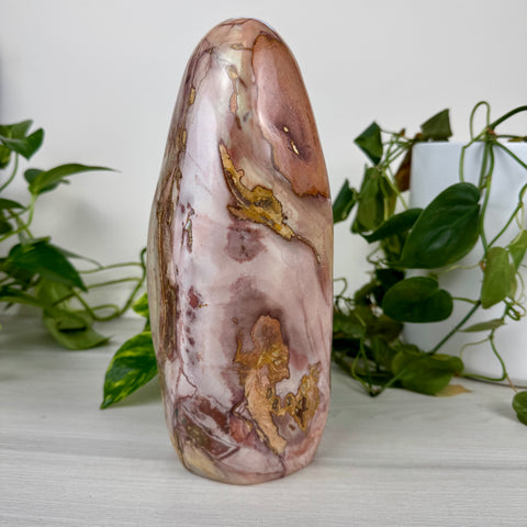 XL Polychrome Jasper Free Form