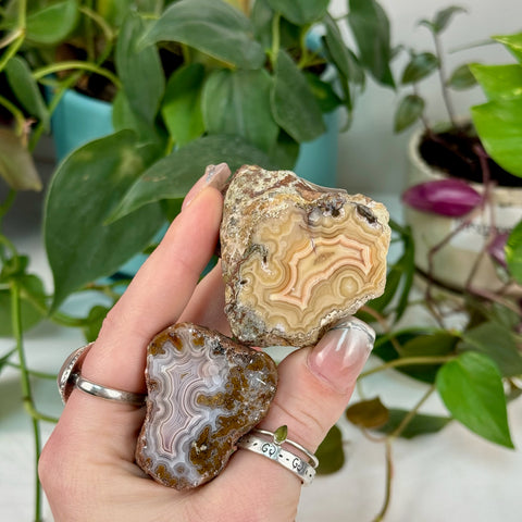 Laguna Agate