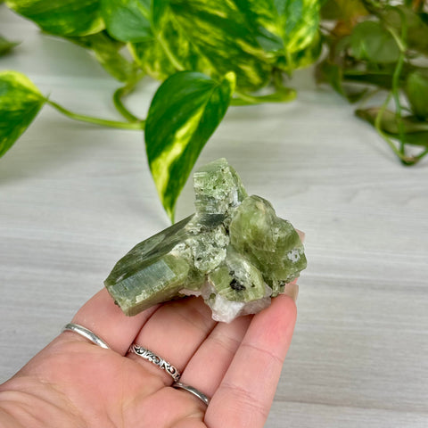 Chrome Diopside On Cookie Dough Specimen