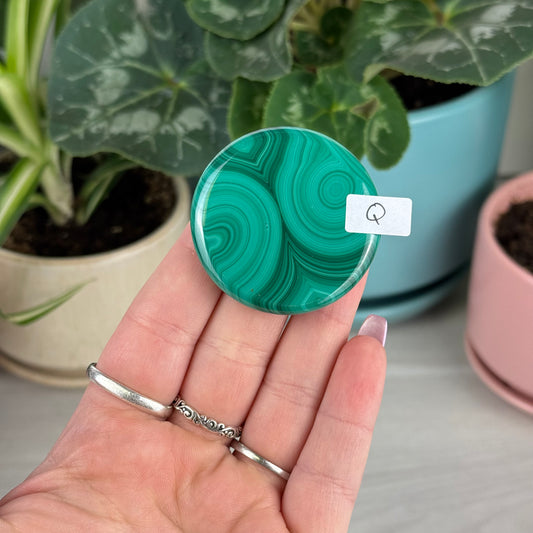 Malachite Cookie - Q1