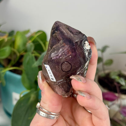 Enhydro Shangaan Amethyst