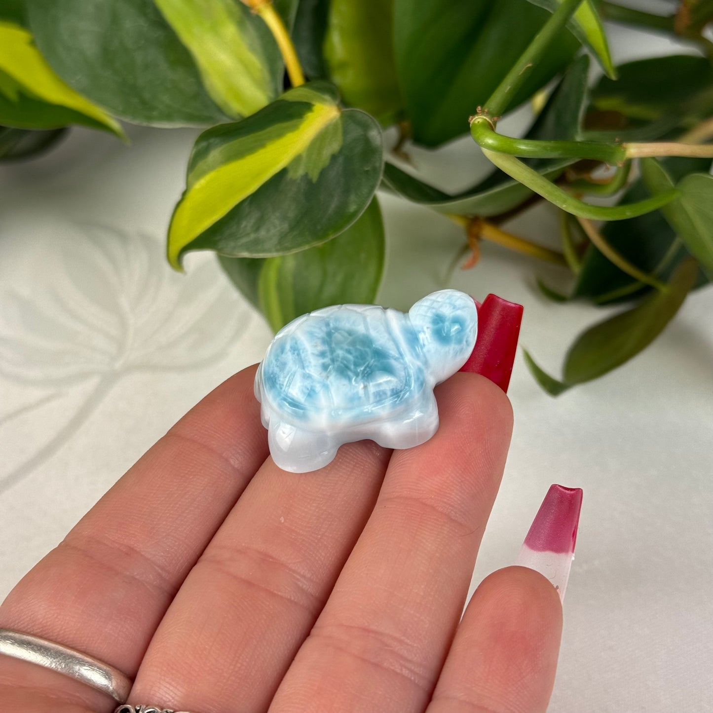 Mini Larimar Turtle