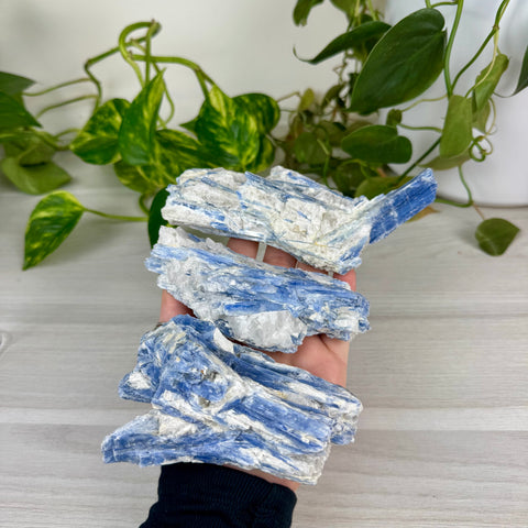 Blue Kyanite Cluster