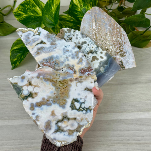 Ocean Jasper Slab