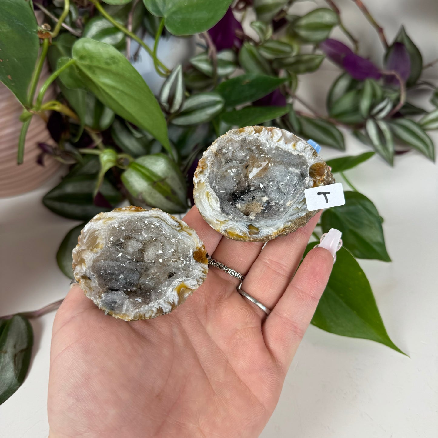 Druzy Agate Geode Pair