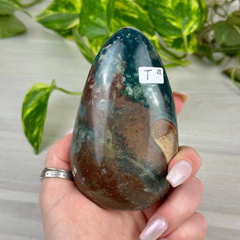 Sea Jasper Free Form