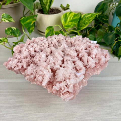 Statement Pink Halite - C