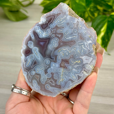 Swazi Rose Agate Slice