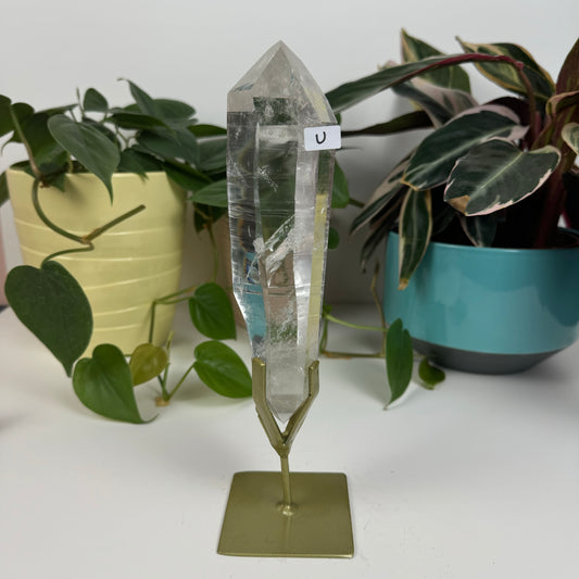 Incredible Lemurian Quartz (W/ Custom Stand) - U