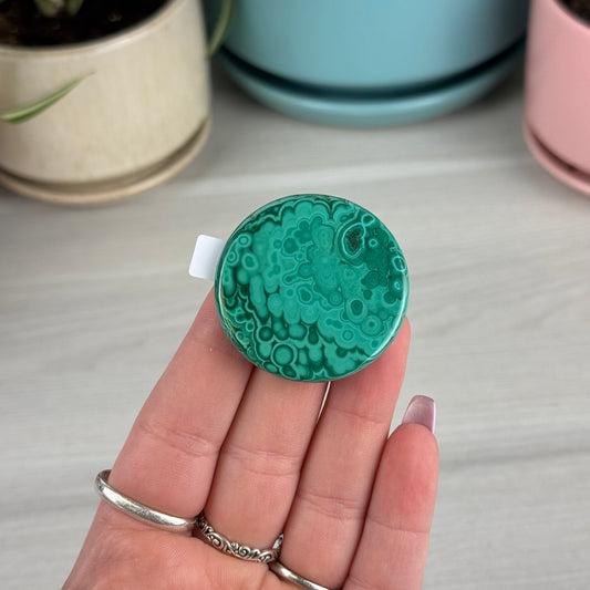 Malachite Cookie - S2