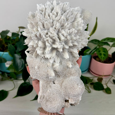Mordenite w/ Stilbite Specimen