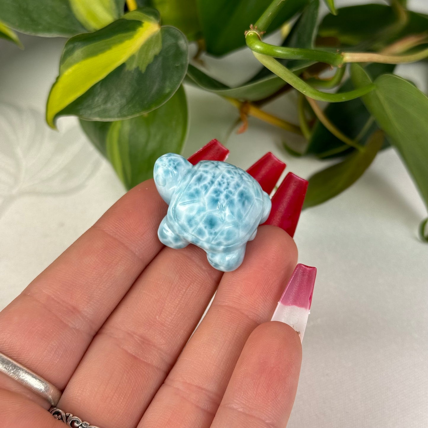 Mini Larimar Turtle