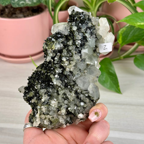 Black Epidote & Chlorite Quartz Specimen (Forest Quartz)