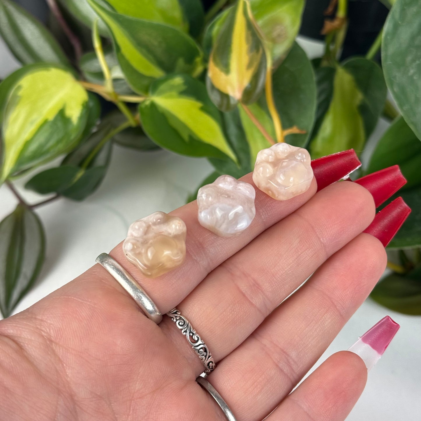 Mini Flower Agate Pet Paw