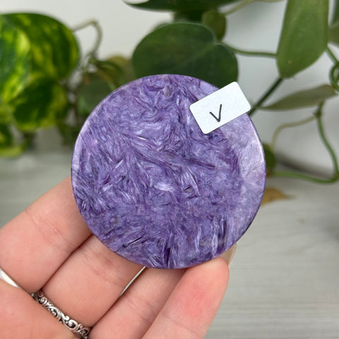 Rare Charoite Cookie