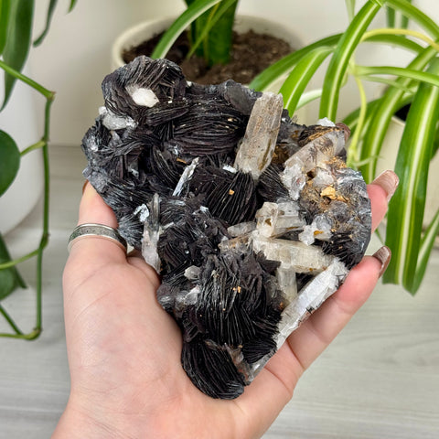 Hematite Roses With Harlequin Quartz Specimen