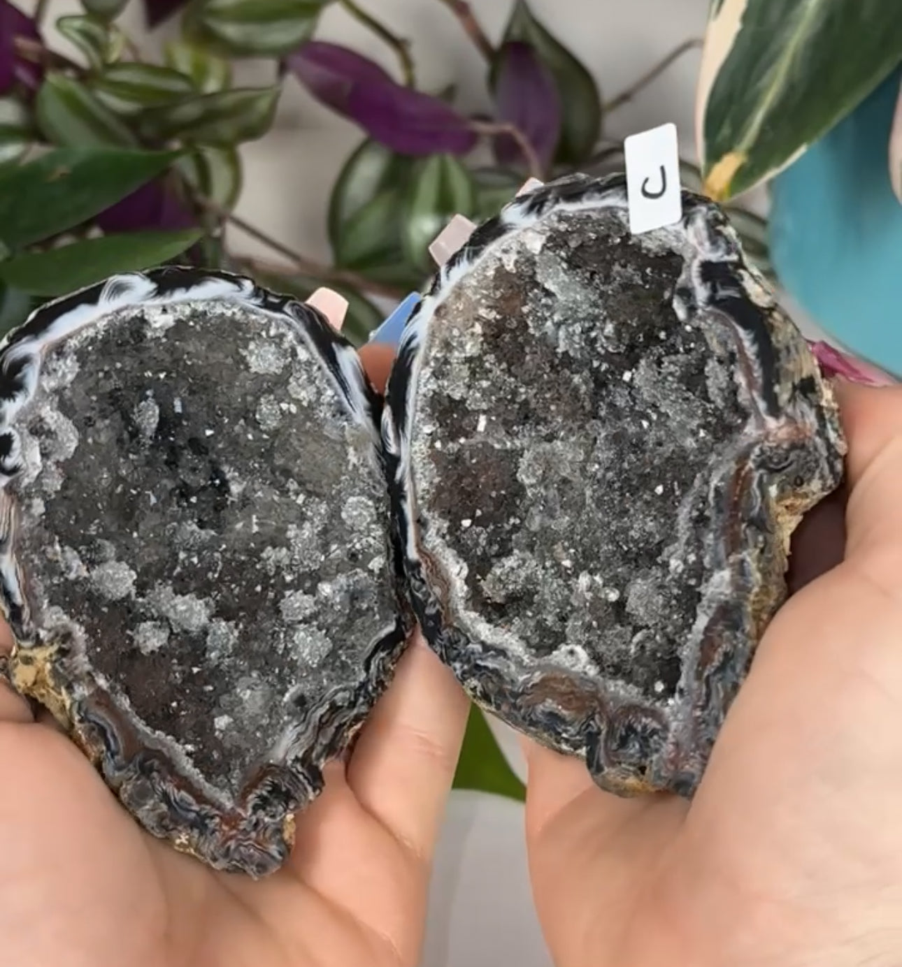 Druzy Agate Geode Pair