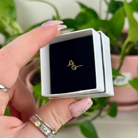 Gold Vermeil Adjustable Zodiac Ring