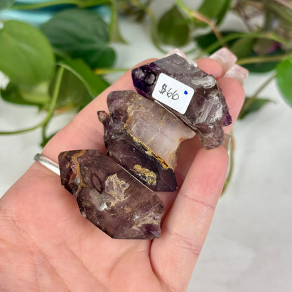 Enhydro Shangaan Amethyst