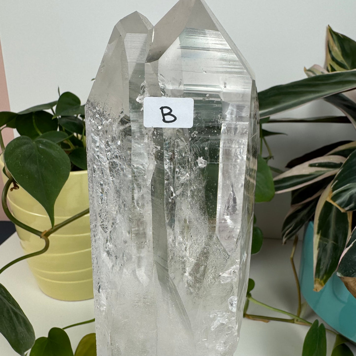 Incredible Lemurian Quartz (W/ Custom Stand) - B