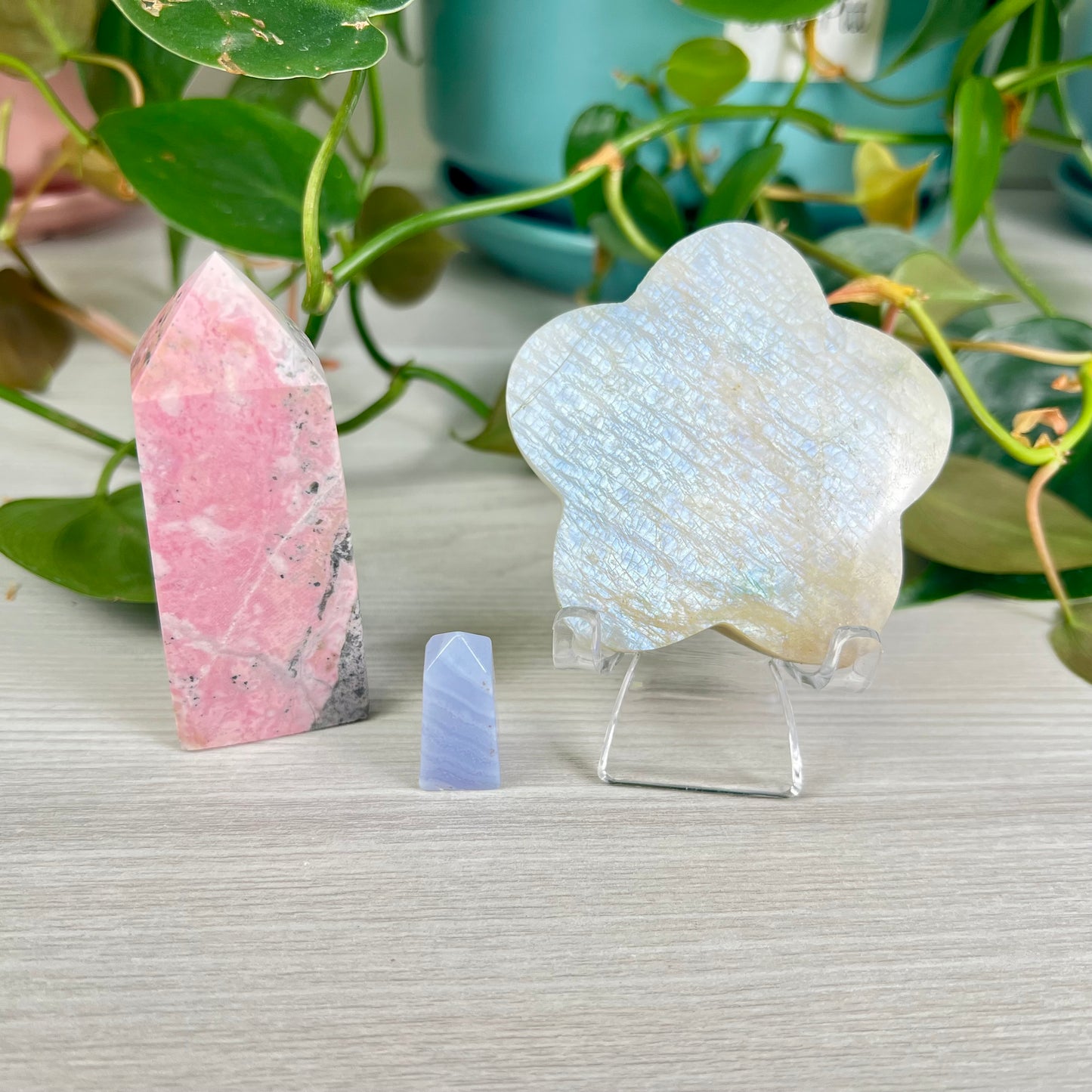 Pastel Dreams Bundle