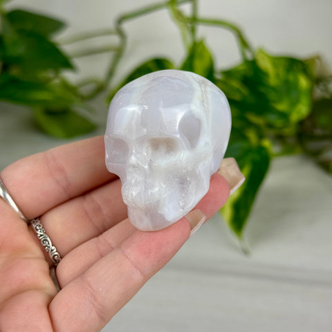 Mini Snow Agate Skull