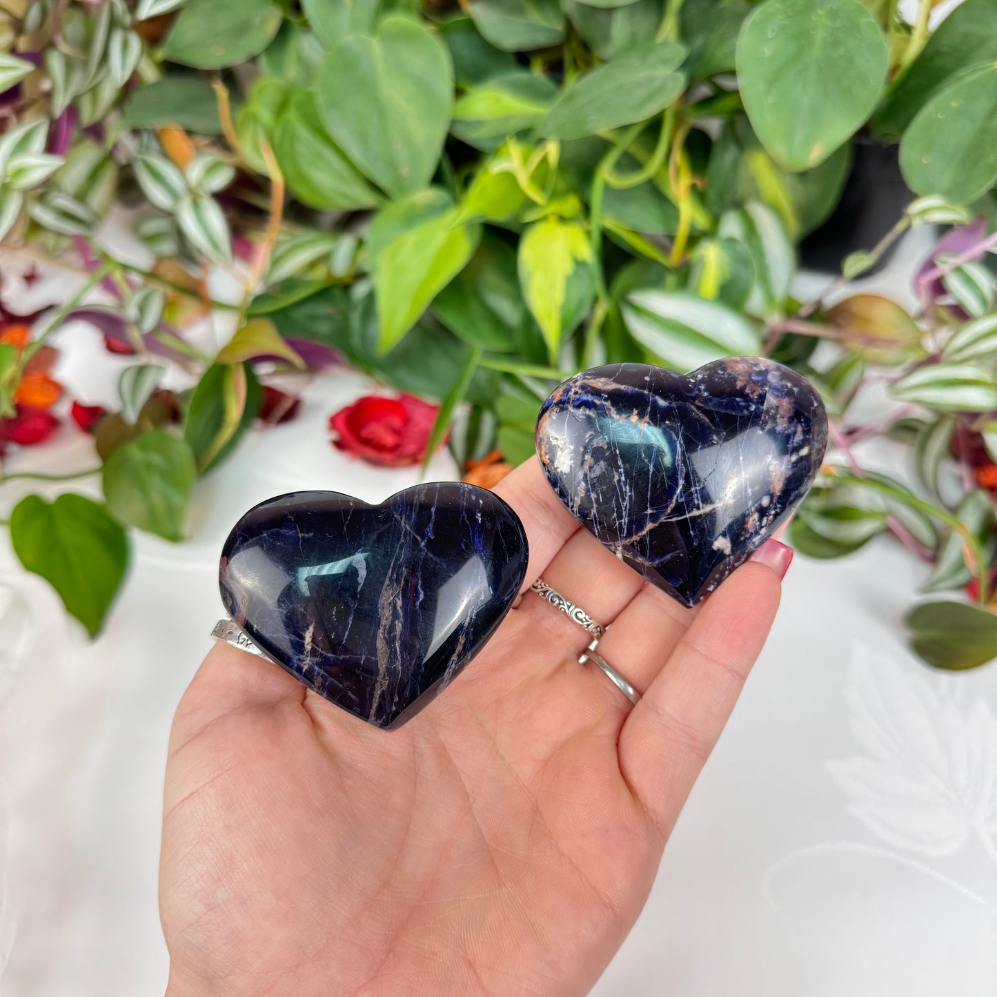 Sodalite Love Heart