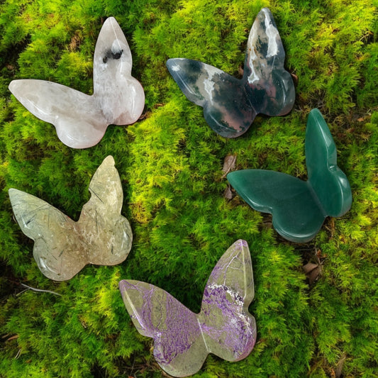 Forest Fairy Butterfly Set