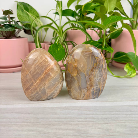 Peach Moonstone Free Form