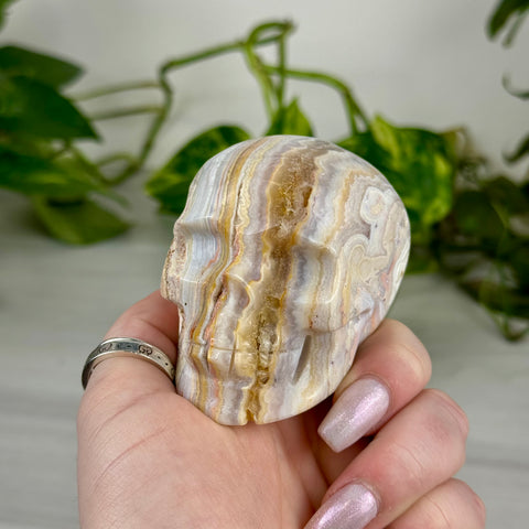 Crazy Lace Agate Skull