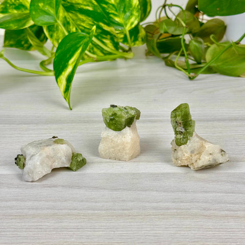 Chrome Diopside On Cookie Dough Specimen