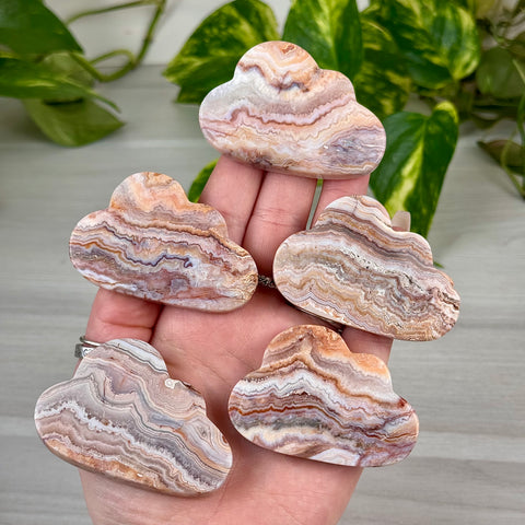 Pink Crazy Lace Cloud