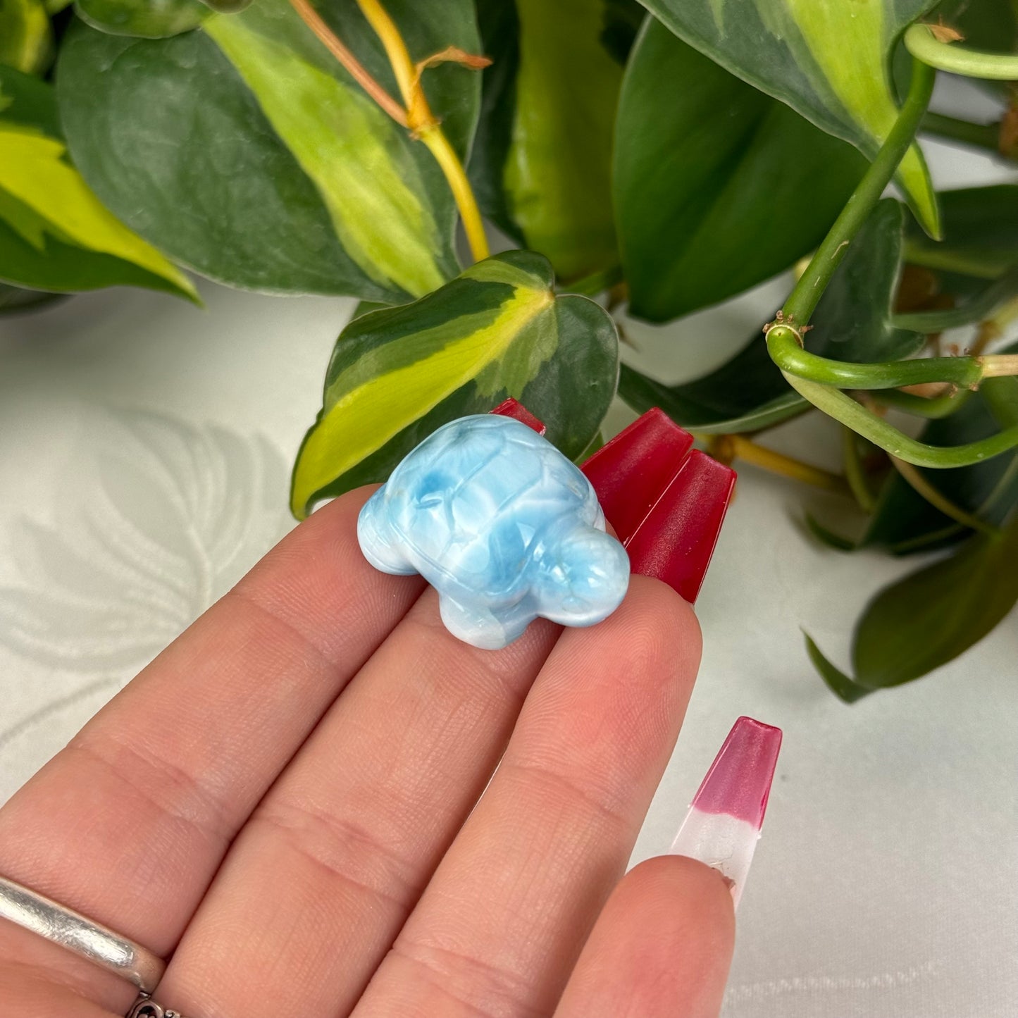 Mini Larimar Turtle