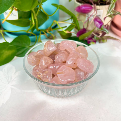 Pink Chalcedony Tumble 1 - Kenna's Crystals from TikTok