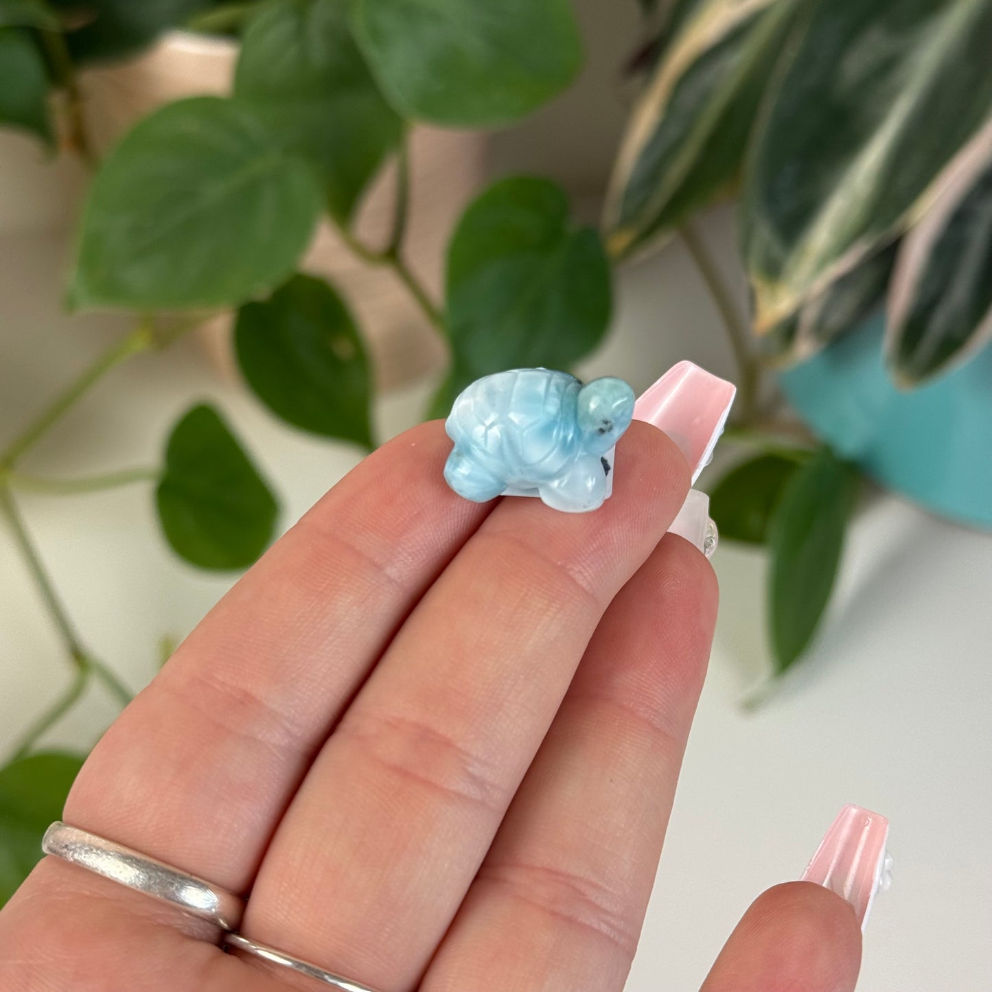 Mini Larimar Turtle