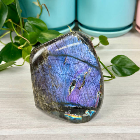 Intuitively Picked Labradorite Free Form