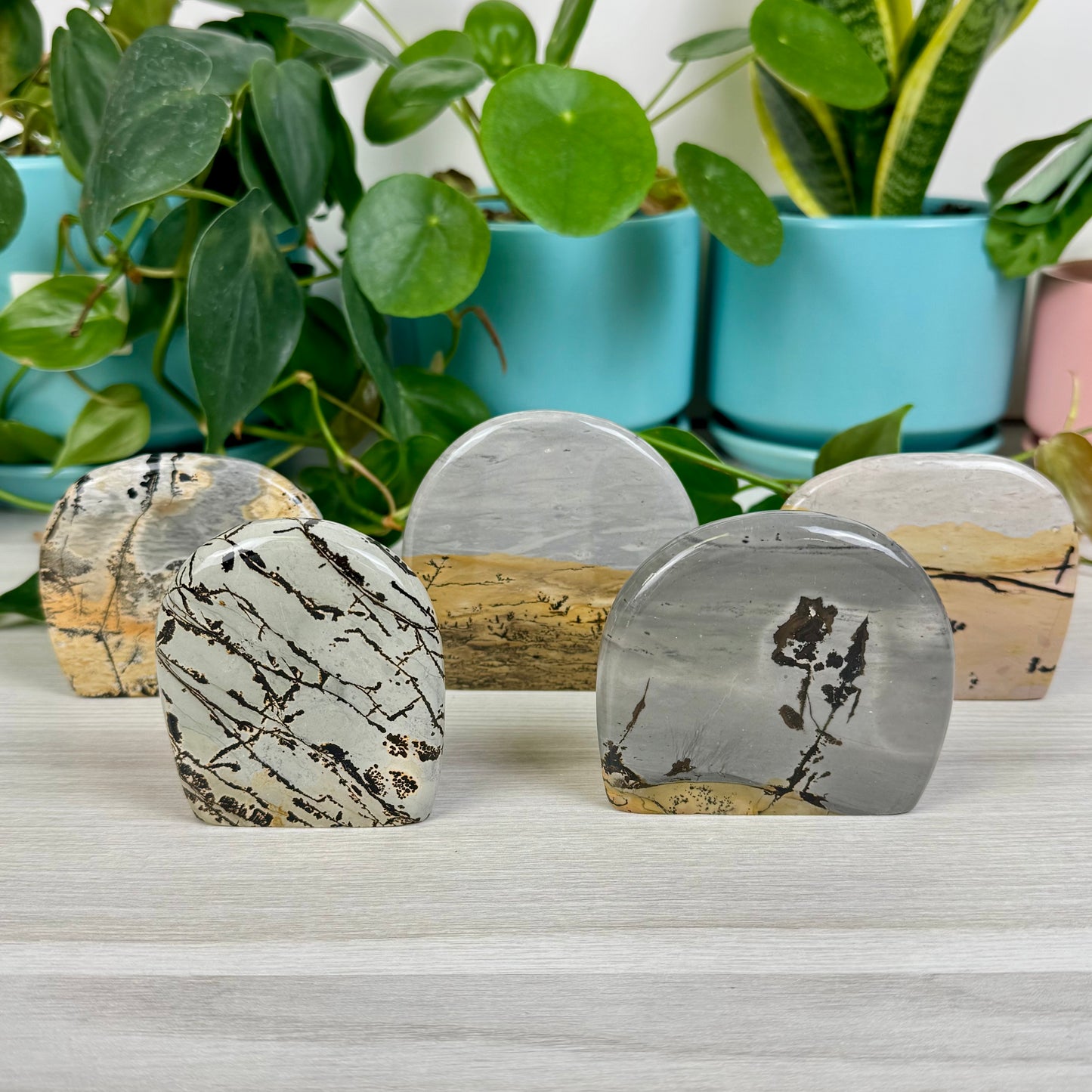 Painting Stone Free Form