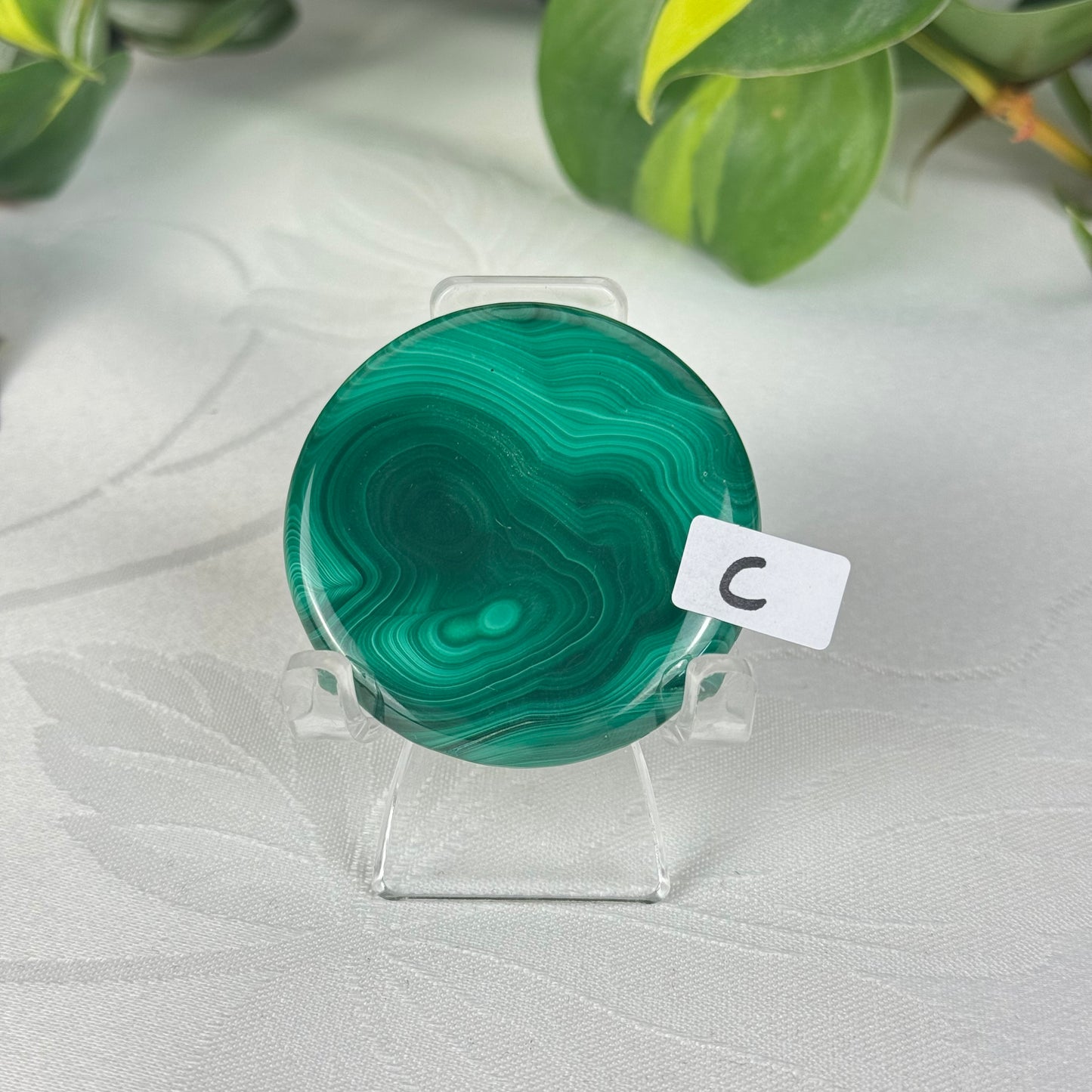 Mini Malachite Cookie