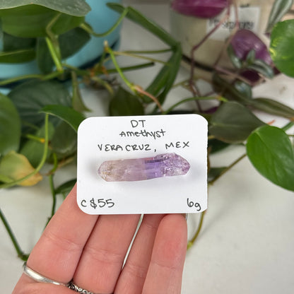Veracruz Amethyst DT Point