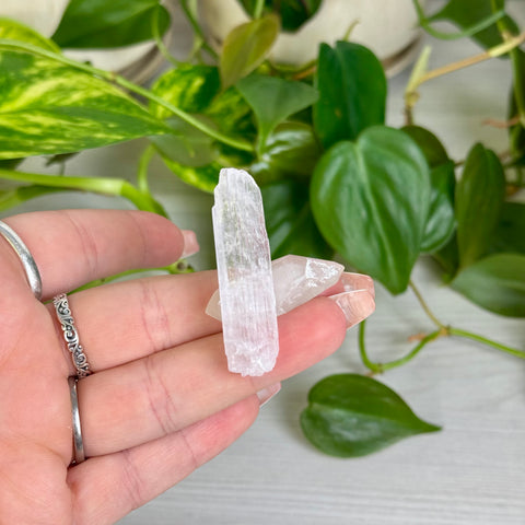 Kunzite Specimen - D