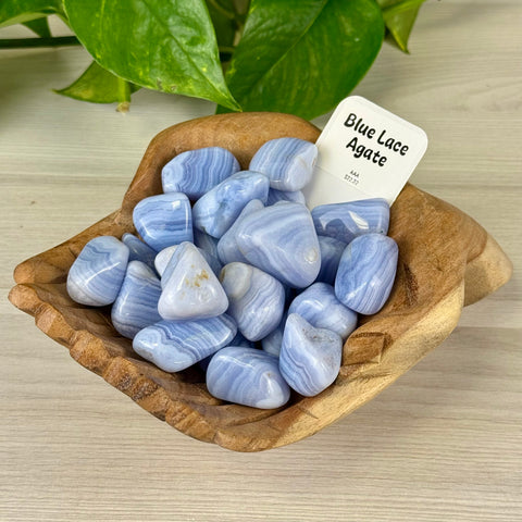 Blue Lace Agate Tumble 22 - AAA 5 - Kenna's Crystals from TikTok